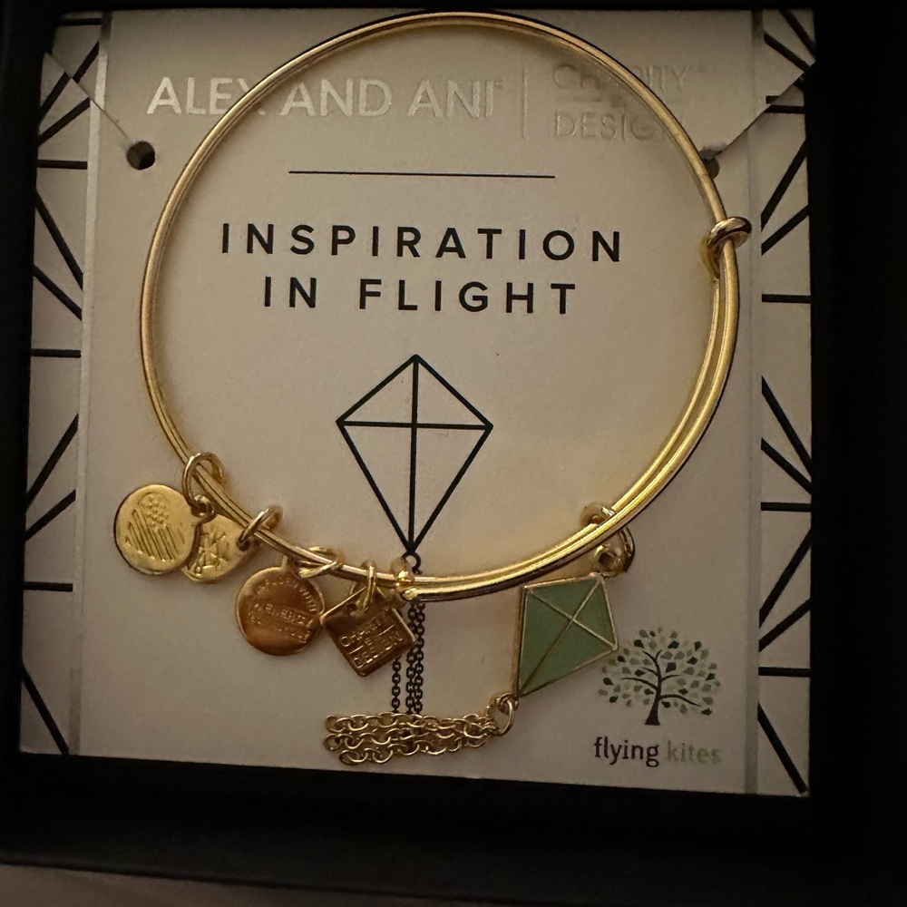 Alex and Ani Gold Charm Bangle